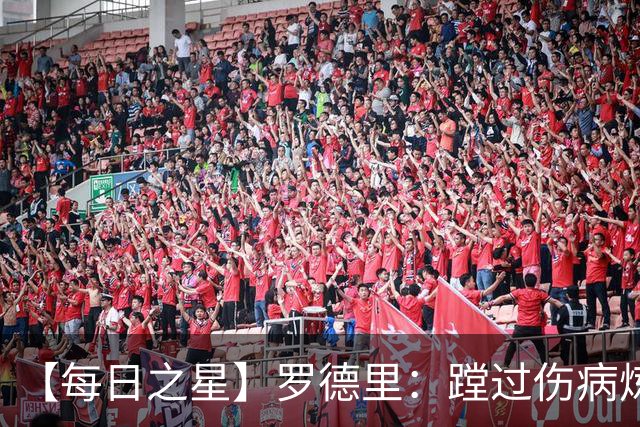 【每日之星】罗德里：蹚过伤病炼狱 在世界杯宣告世一腰归来